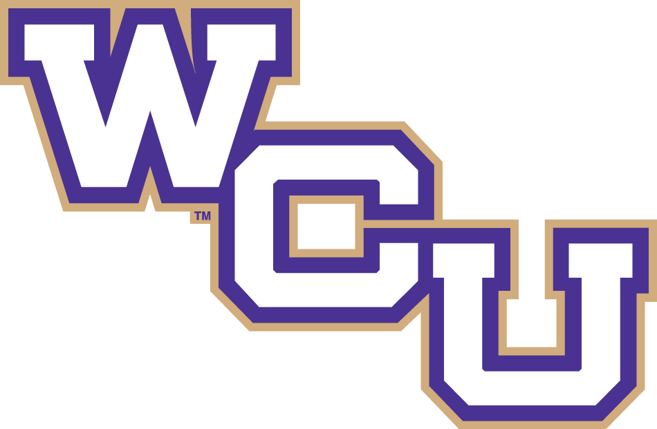 Western Carolina Catamounts 2008-Pres Wordmark Logo diy DTF decal sticker